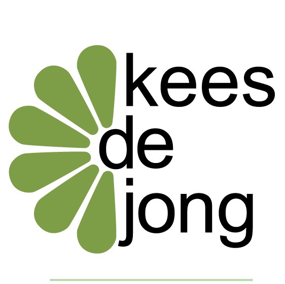 Logo website
